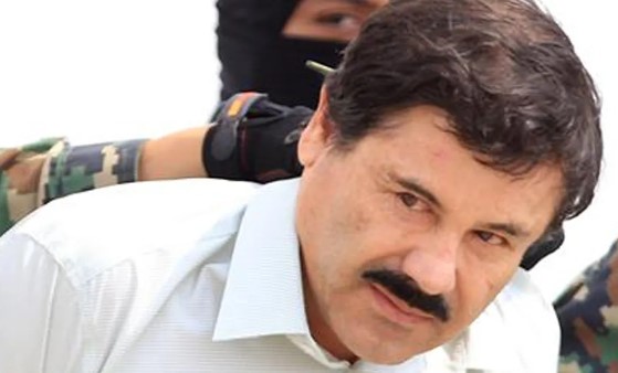 ¡No lo podrás creer! Esta es la relación de Joaquín “El Chapo” Guzmán con “La Casa de los Famosos 4”