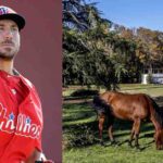 Abandonó el béisbol de las Grandes Ligas, para dedicarse a cuidar animales en su granja