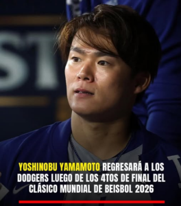 Sin tfsffsfulo